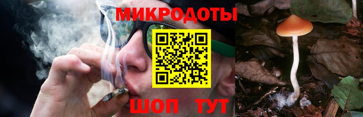 Магадан  Псилоцибиновые грибы ЛСД  Вход с VPN 